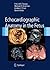 Echocardiographic Anatomy in the Fetus