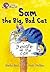 Sam and the Big Bad Cat: Yellow level/ Band 3 (Collins Big Cat)