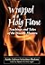 Wrapped in a Holy Flame by Zalman Schachter-Shalomi