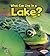 What Can Live in a Lake?
