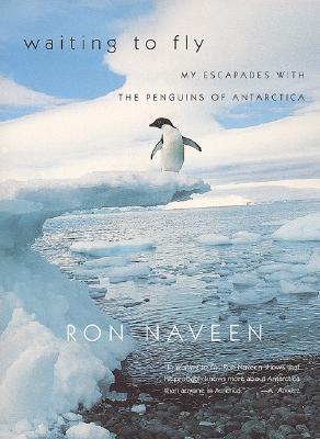 Waiting to Fly: My Escapades With The Penguins Of Antarctica (Paperback)