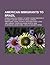 American Immigrants to Brazil: Dionne Warwick, Darrell A. Posey, Glenn Greenwald, Elizabeth Bishop, Dorothy Stang, Leonora Armstrong