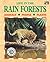 Life in the Rainforests