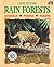 Life in the Rainforests (Life in the...)