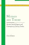Midrash and Theory: Ancient Jewish Exegesis and Contempory Literary Studies (Rethinking Theory)