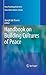 Handbook on Building Cultur...