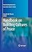 Handbook on Building Cultures of Peace by Joseph de Rivera