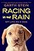 Racing in the Rain by Garth Stein