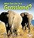 What Can Live in a Grassland?