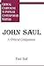 John Saul: A Critical Companion
