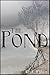 The Pond