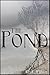 The Pond