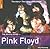 The Rough Guide to Pink Floyd (Rough Guide Music Guides)