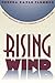 Rising Wind by Brenda Gayle Plummer