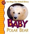 Baby Polar Bear Baby Polar Bear