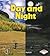 Day and Night (First Step Nonfiction: Discovering Nature's Cycles)