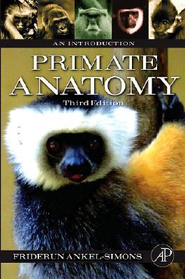 Primate Anatomy: An Introduction (Paperback)