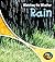 Rain (Heinemann First Library)