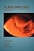 Flash Smelting 2E: Flash, C...