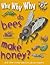Why Why Why...Do Bees Make ...