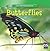 Incredible Butterflies