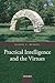 Practical Intelligence and ...
