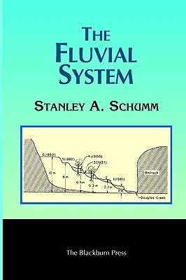 The Fluvial System (Paperback)