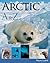 Arctic A To Z