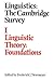 Linguistics: The Cambridge Survey: Volume 1, Linguistic Theory: Foundations