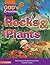 Rocks and Plants (God's Cre...