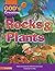 Rocks and Plants (God's Creation Series) Book 3