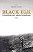 Black Elk by Damian Costello