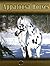 Appaloosa Horses (Eye to Eye With Horses)