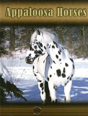 Appaloosa Horses (Eye to Eye With Horses)