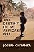 The Destiny of an African Boy: An Untold Reality