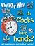 Why Why Why Do Clocks Have Hands?