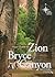 Your Guide to Zion and Bryc...