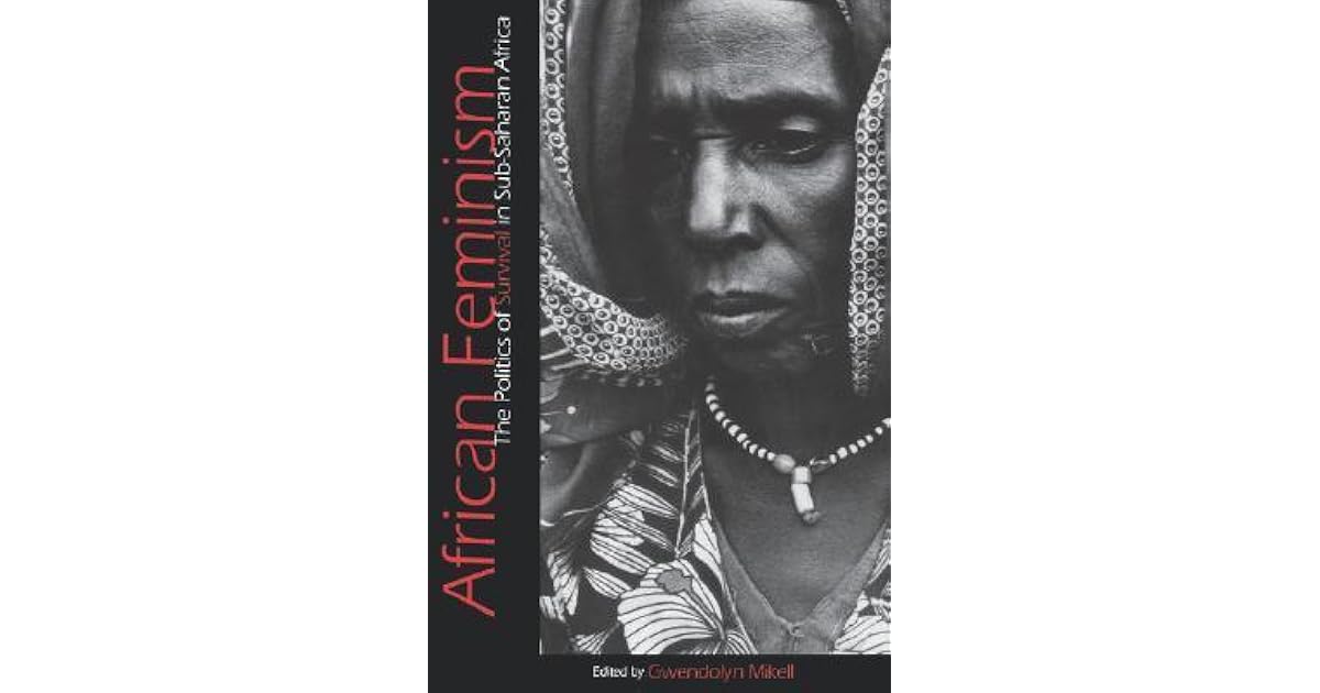 African Feminism The Politics of Survival in SubSaharan Africa by