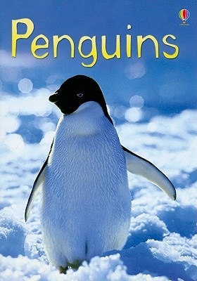 Penguins (Usborne Beginners)