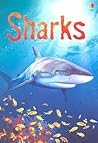 Sharks by Catriona Clarke