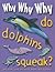 Why Why Why Do Dolphins Squ...
