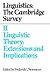 Linguistics: The Cambridge Survey: Volume 2, Linguistic Theory: Extensions and Implications