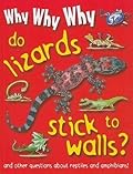Why Why Why Do Lizards Stick to Walls?