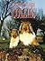 Rough & Smooth Collies (Book of the Breed)