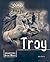 Troy by Ann Kerns