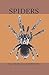 Spiders