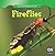 Incredible Fireflies (Incredible World of Insects)