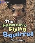 The Fantastic Flying Squirrel: Band 04/Blue