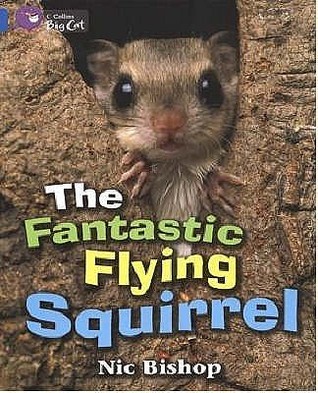 The Fantastic Flying Squirrel: Band 04/Blue (Collins Big Cat)