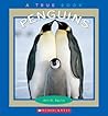 Penguins (True Books)